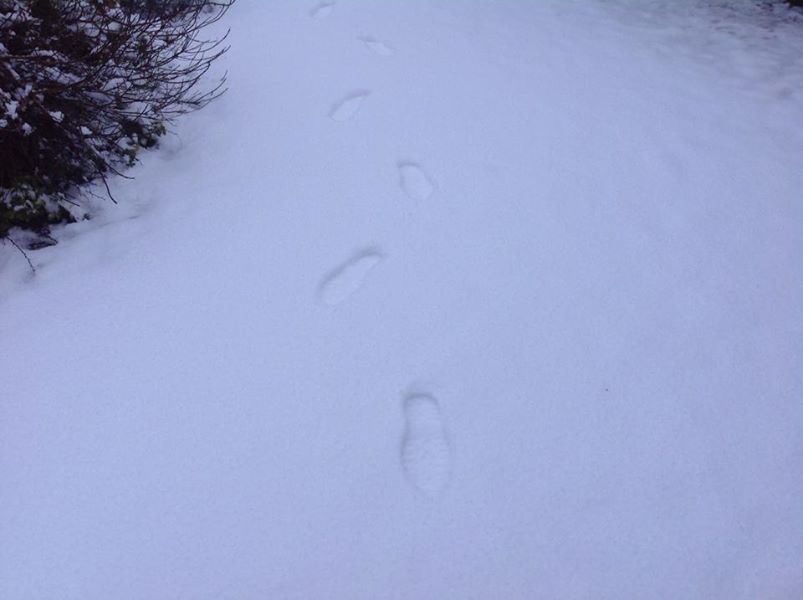 snowkiltullaghkillimordaly10