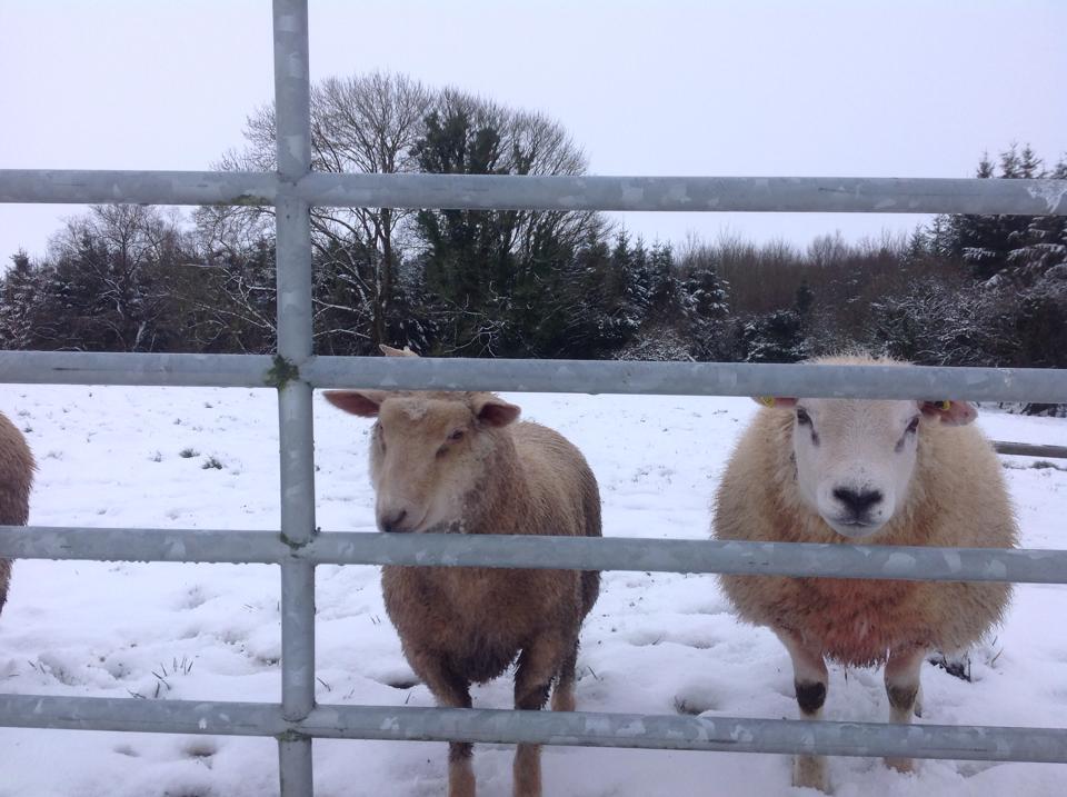 snowkiltullaghkillimordaly30