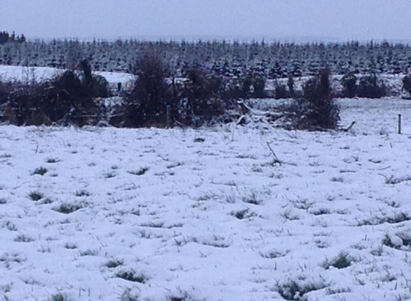 snowkiltullaghkillimordaly9